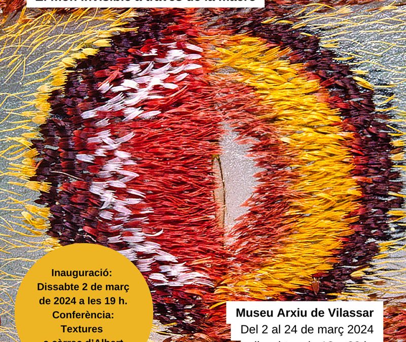 Exposició: “TEXTURES. El món invisible a través de la macro” a Vilassar de Dalt. Societat Catalana de Fotògrafs de Natura (SCFN)