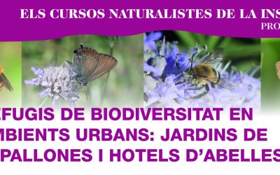 Els cursos naturalistes de la Institució:  Refugis de biodiversitat en ambients urbans: jardins de papallones i hotels d’abelles