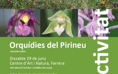 Els cursos naturalistes de la Institució: Jornada-taller: Orquídies del Pirineu