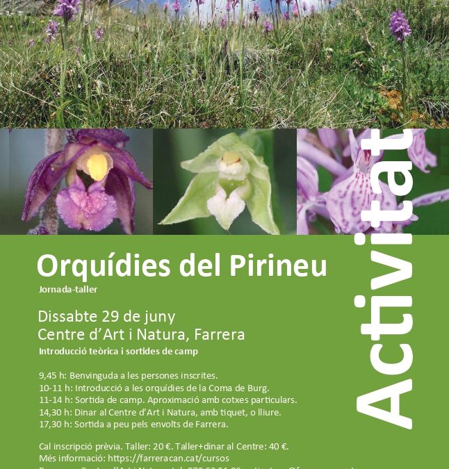 Els cursos naturalistes de la Institució: Jornada-taller: Orquídies del Pirineu