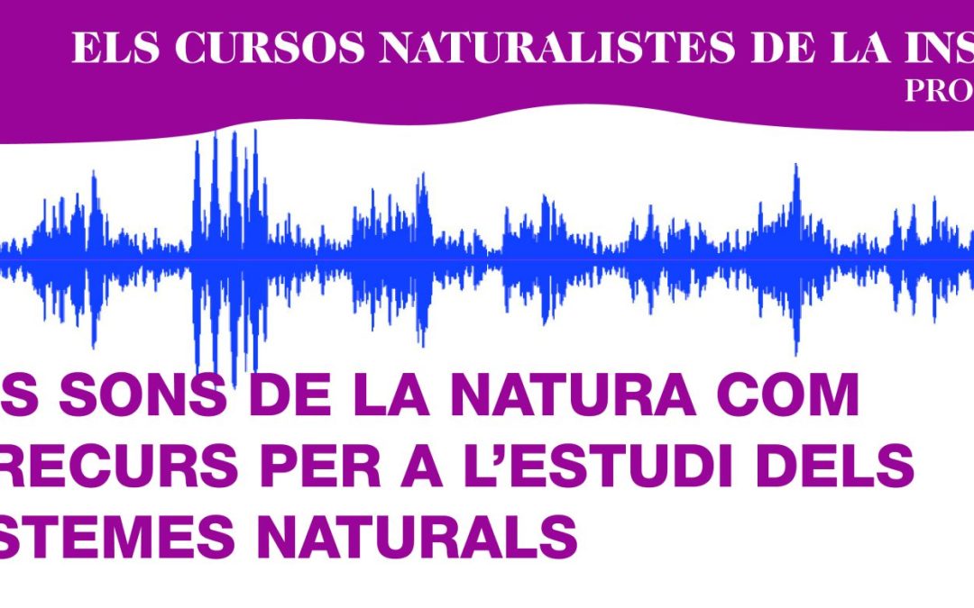 Els cursos naturalistes de la Institució: Els sons de la natura com a recurs per a l’estudi dels sistemes naturals.