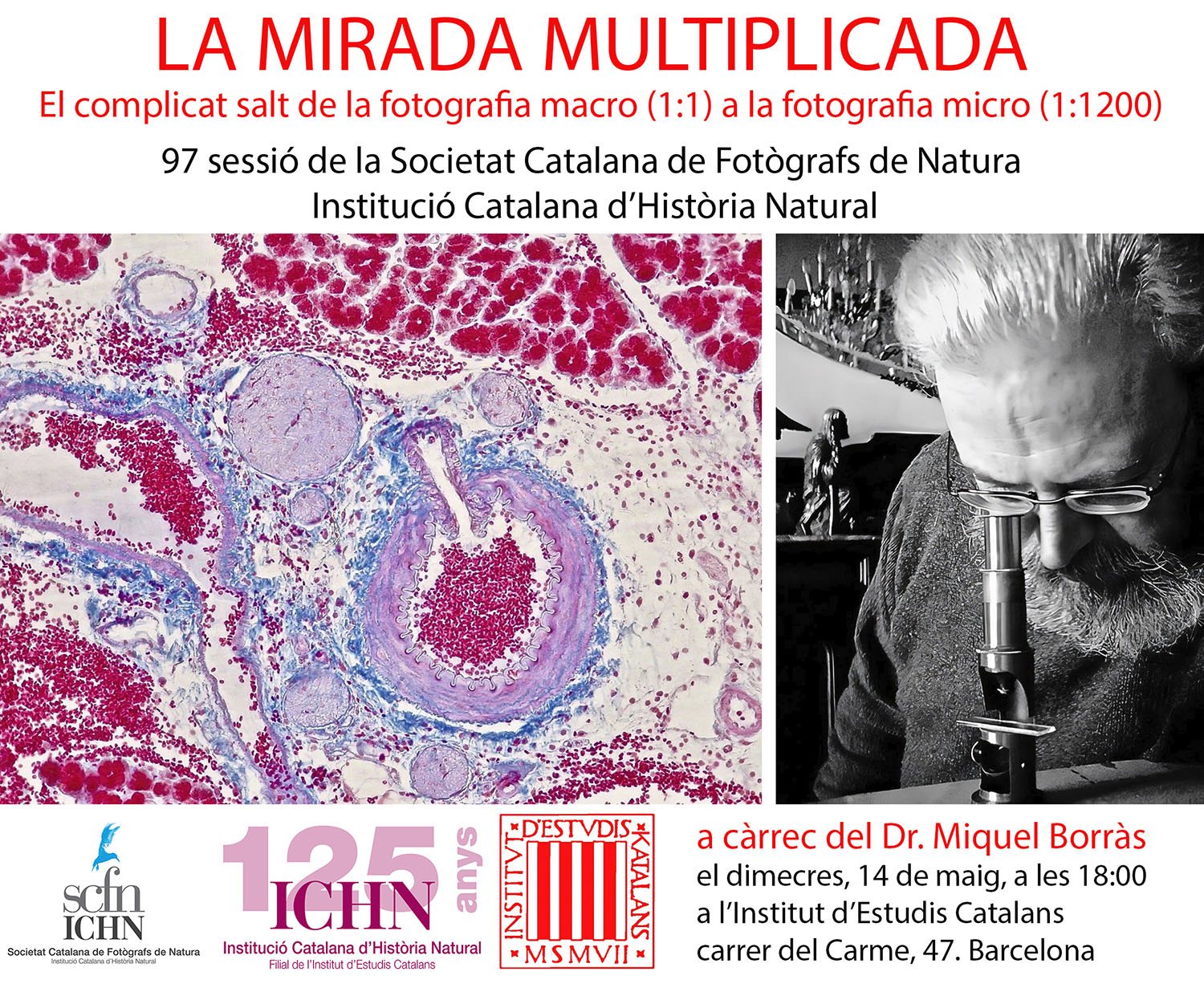 Foto microscòpica M Borràs mig