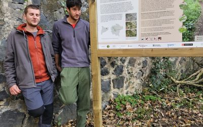 Prop de 500 persones participen en la recuperació de la roureda de Mas Tarut