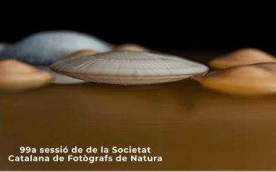 Conferència “La percepció de la natura que no veiem”