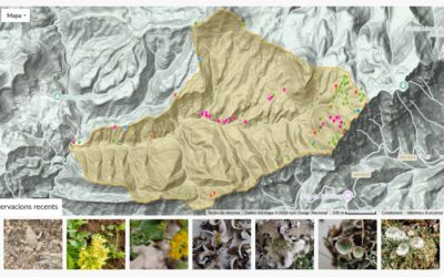 Projecte de ciència ciutadana a iNaturalist