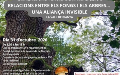 Diferents propostes per finals d’any